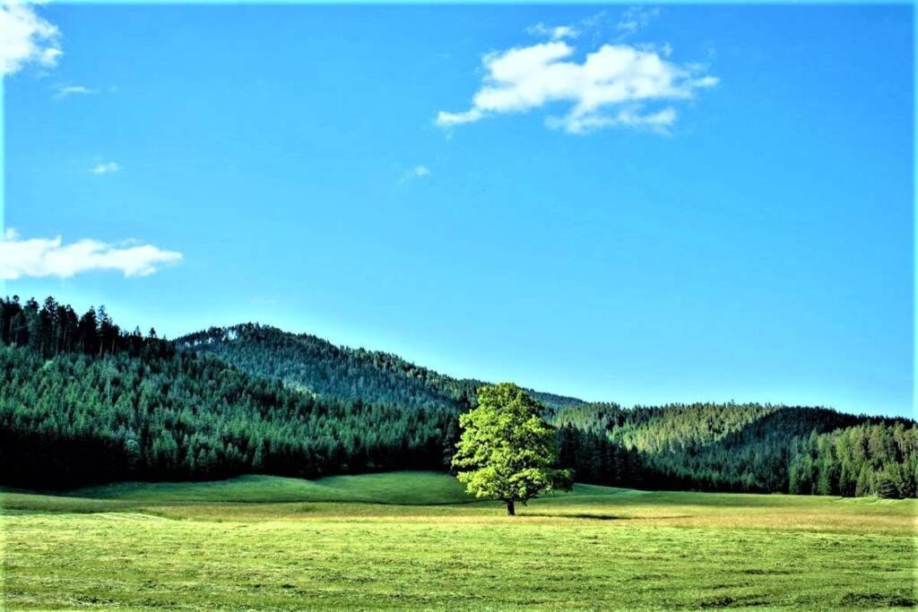 Hoeblinghof Schwarzau im Gebirge Exterior photo